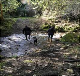 La movilidad en su ambiente: Prácticas y experiencias de movilidad cotidiana mapuche-williche en contextos rurales. Evidencias desde la comuna de Puyehue, Región de Los Lagos, Chile